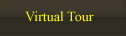 virtual tour